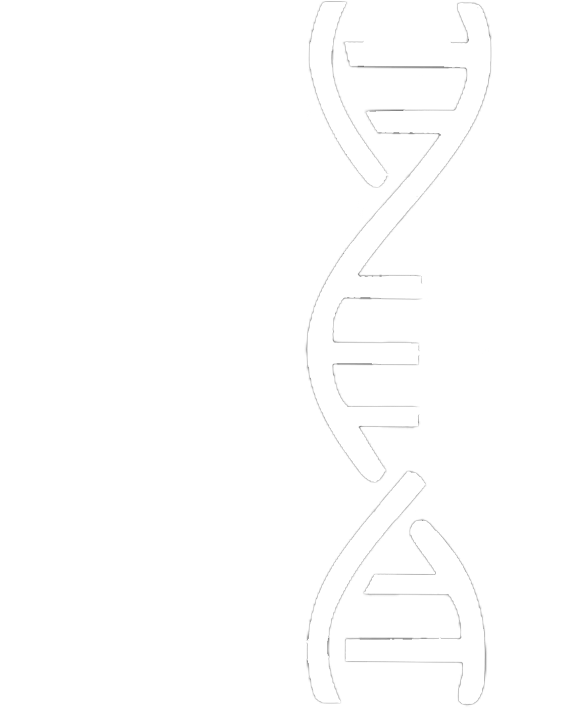 PolED logo